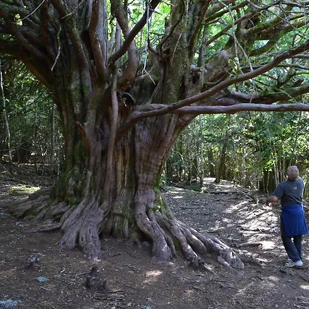 Hétvégi ház La Hoja De Roble Puebla de Sanabria