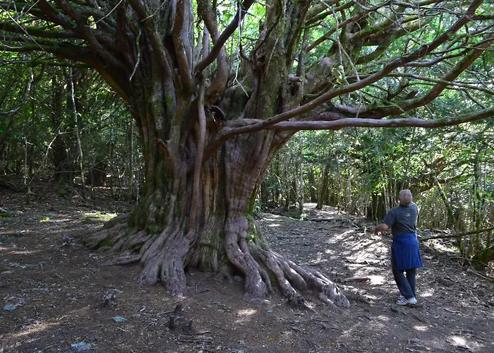 בית כפרי La Hoja De Roble פואבלה דה סנאבריה