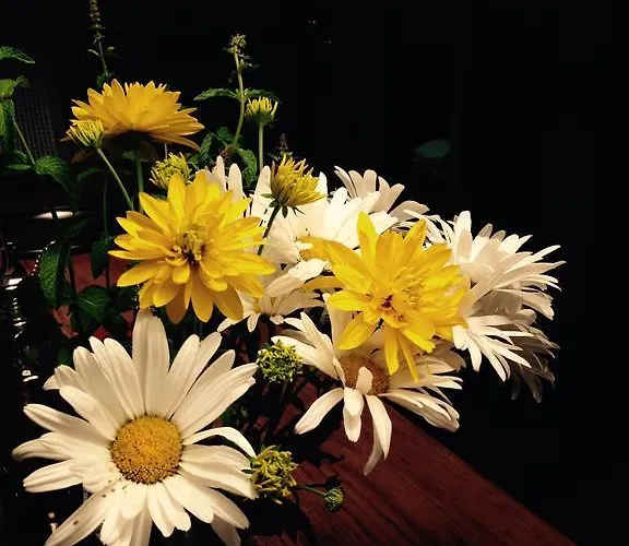 컨트리하우스 La Hoja De Roble *